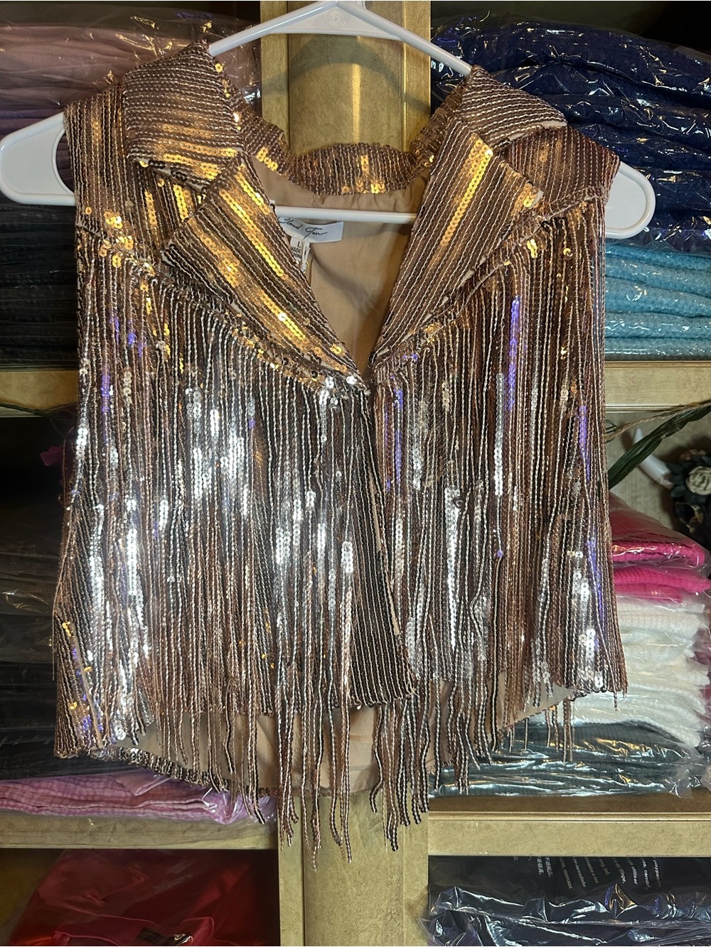 Cloud Ten Sequin Fringe Vest in Metallic Rose